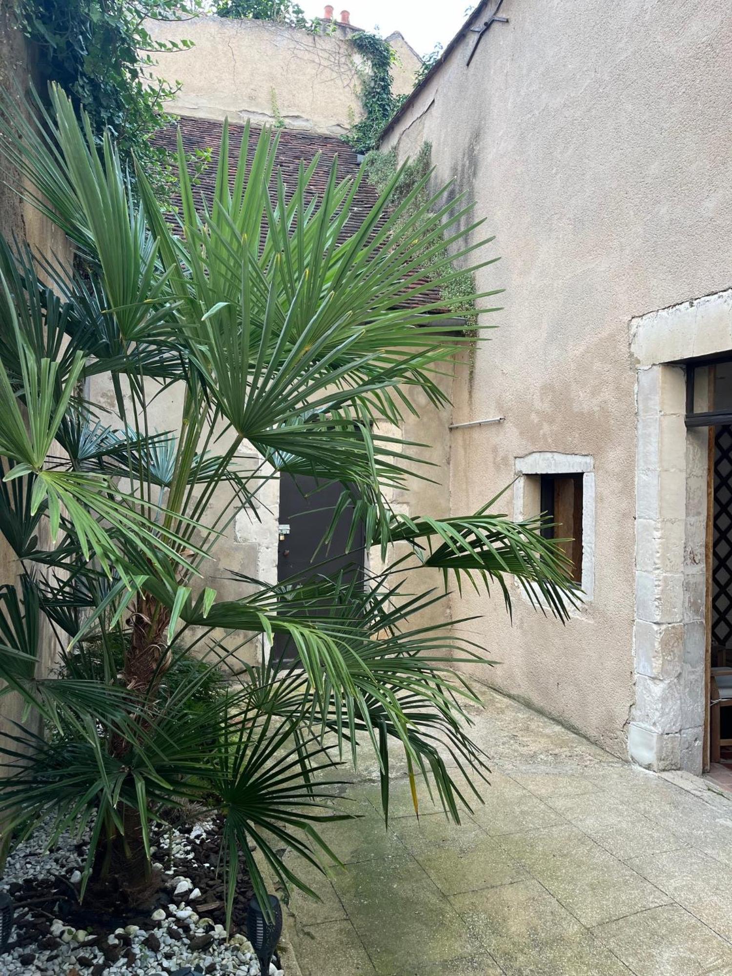 Cosy Appartement Hyper Centre Ville Avec Cour + Patio Auxerre Dış mekan fotoğraf